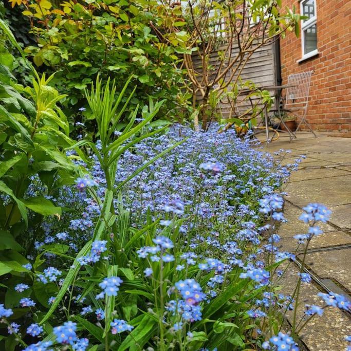 Cheerful, Cosy, One Bedroom Home With Patio And Parking Newbury  Bagian luar foto